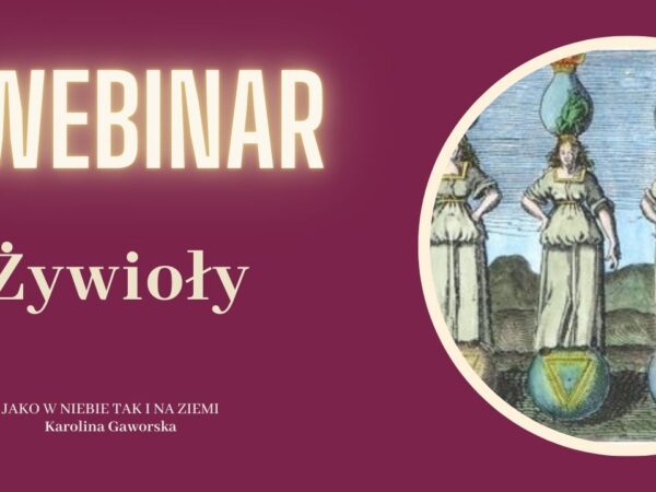 Webinar Żywioły