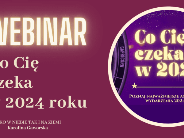 Webinar Co cię czeka 2024